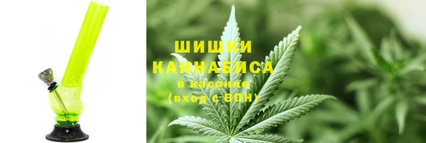 гашик Алзамай