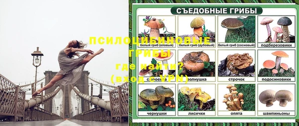 гашик Алзамай