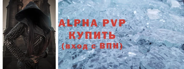прущие грибы Алексеевка