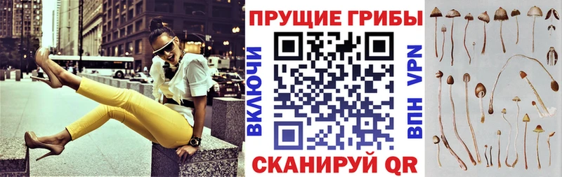 kraken маркетплейс  Жуковский  Галлюциногенные грибы ЛСД 